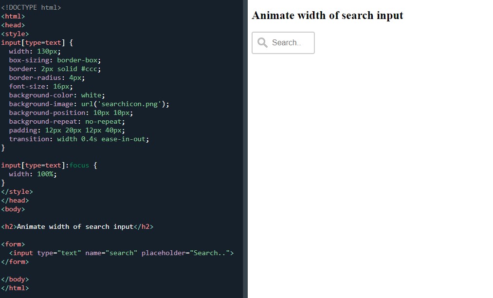 Input field animation