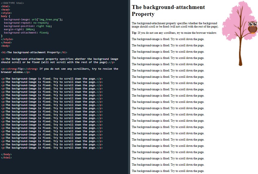 Fixed background in CSS
